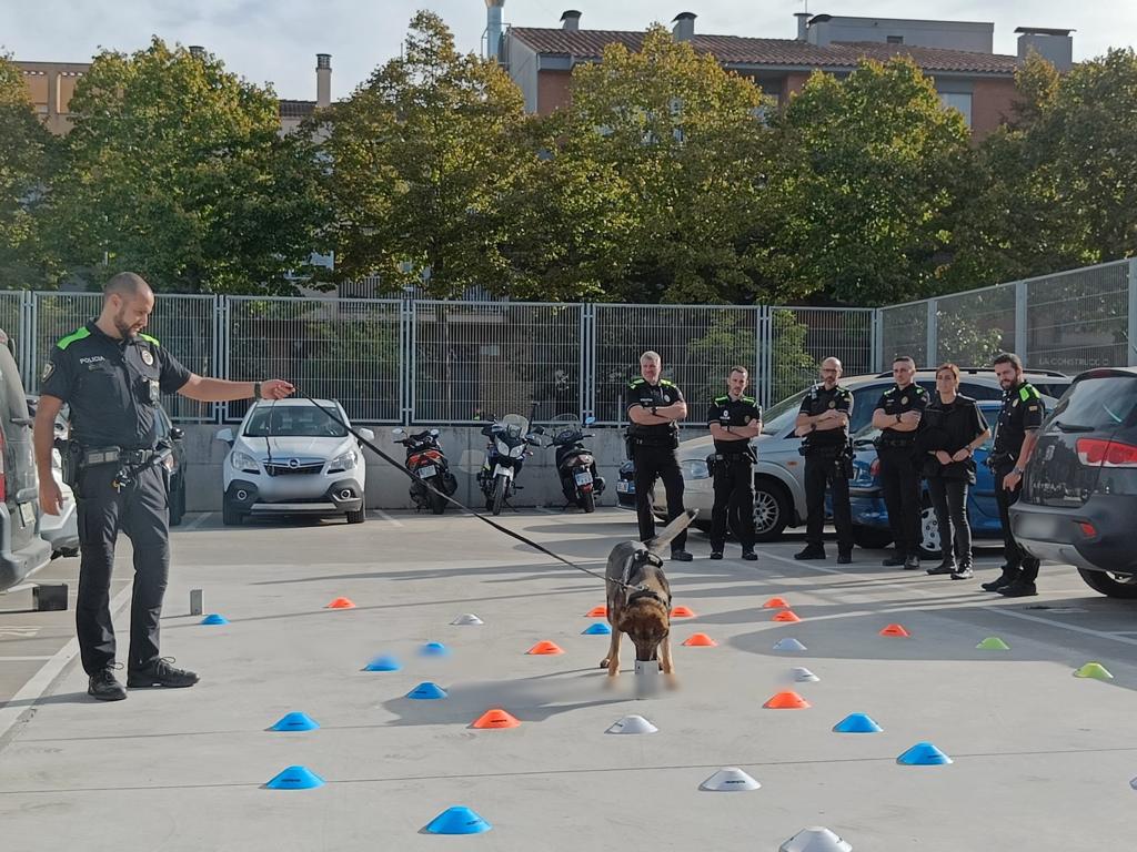 La Policia Local de Salt organitza una jornada formativa per agents d’unitats canines