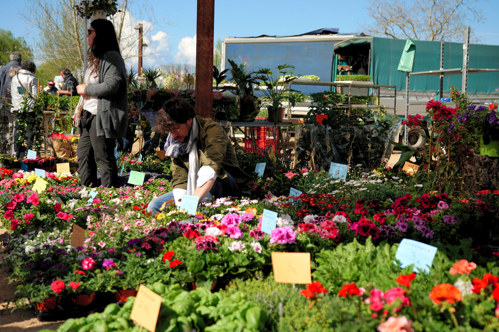 La 13a edició de la Fira de la Flor i el Planter de Salt se celebrarà el 16 d’abril al Parc Monar